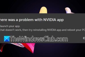 Ha habido un problema con la aplicación NVIDIA en Windows 11