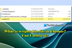 ¿Qué es el archivo weights.bin en Chrome? ¿Puedo suprimirlo?