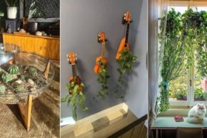 12 formas mรกs espectaculares de mostrar plantas de interior