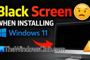 Pantalla negra al instalar Windows 11