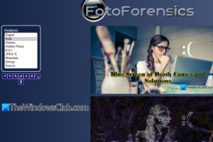 Búsqueda de imágenes de copyright: las mejores herramientas para detectar fotos robadas