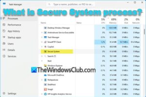 ¿Qué es el proceso del sistema seguro en el Gestor de tareas de Windows 11