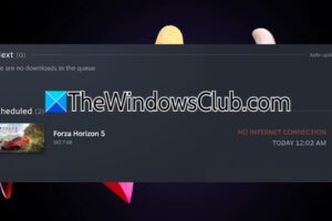 Steam Sin error de conexión a Internet [Fix]