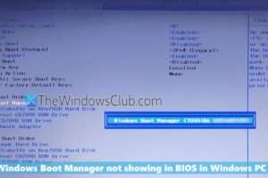 El Gestor de arranque de Windows no se muestra en la BIOS en Windows 11
