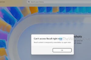 No se puede acceder a Recall ahora mismo en Windows 11 [Fix]