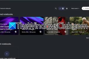Cómo utilizar Google NotebookLM en Windows 11