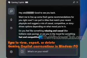 Ver, exportar o suprimir conversaciones de Gaming Copilote en Windows 11