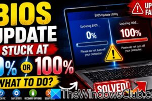 Actualización de la BIOS bloqueada a 0 o 100 en el ordenador Windows [Fix]