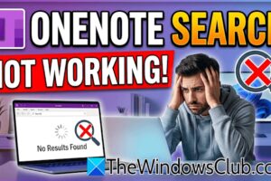 OneNote Search no funciona en Windows 11