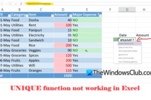 La función ÚNICA no funciona en Excel [Fix]