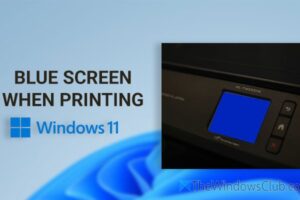 Pantalla azul en la impresora cuando se imprime en Windows 11