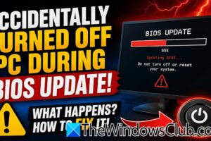 PC apagada accidentalmente durante la actualización de la BIOS en Windows 11