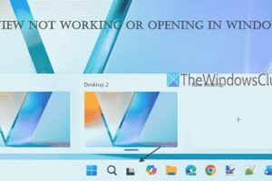 La vista de tareas no funciona o se abre en Windows 11